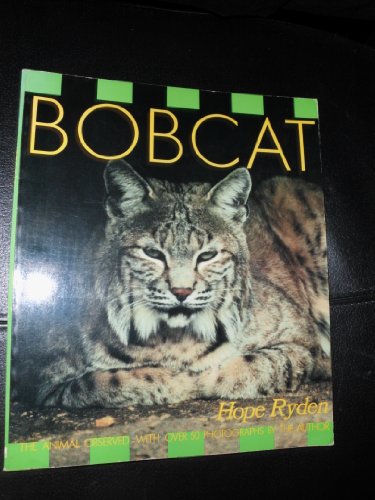 Bobcat
