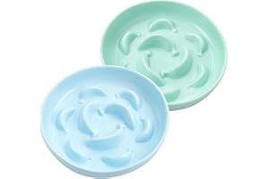 PTOBER Cat Slow Feeder Bowl Set - 2 Pcs Ceramic Cat Food Plates for Slow Eating - Double Cat Dish for Dry Wet Food - Slow Feeding Cat Bowls Whisker Friendly - Microwave and Dishwasher Safe - Blue and Green