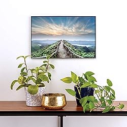 Snap 11x17 Front Loading Desktop and Wall Mounted