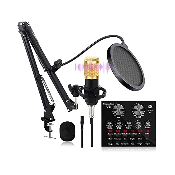 HCFSUK FHISD Kondensator Mikrofon Set, BM-800 Professional Mikrofon-Kit mit V8 Live-Soundkarte Boom Arm Shock Mount für…