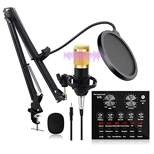 HCFSUK FHISD Kondensator Mikrofon Set, BM-800 Professional Mikrofon-Kit mit V8 Live-Soundkarte Boom Arm Shock Mount für…