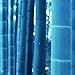 Trenton 50Pcs Rare Blue Bamboo Seeds Beautiful Home Garden Decorative Tree Herb Plant