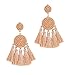 Beaded Tassel Earrings for Women Thread Fringe Drop Dangle Earrings Bohemia Statement Stud Earring(Brown)