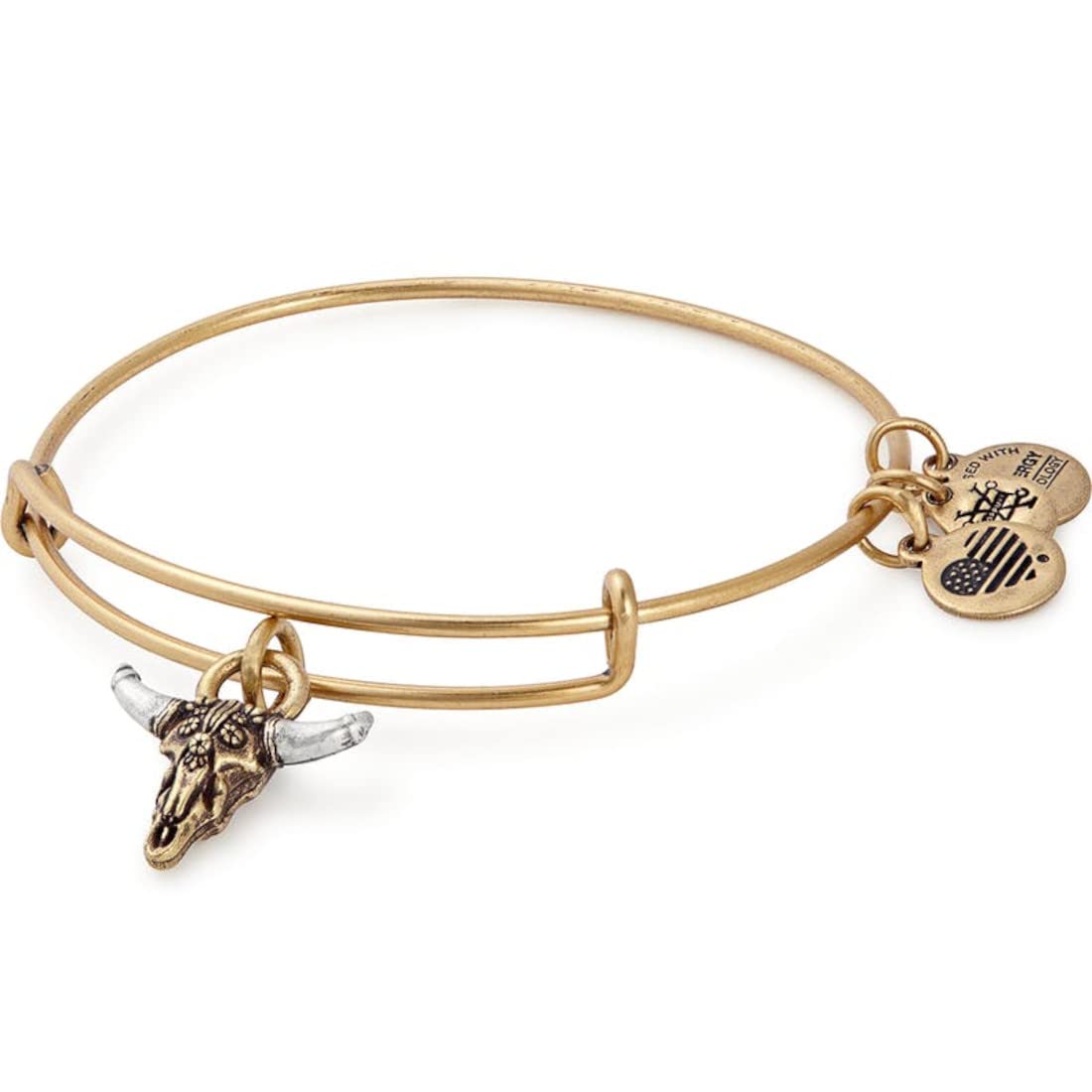 Alex and Ani Skull Bangle