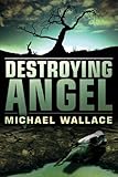 Destroying Angel (Righteous Series)