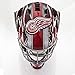 Franklin Sports Detroit Red Wings NHL Hockey Goalie Face Mask - Goalie Mask for Kids Street Hockey - Youth NHL Team Masks for Kids