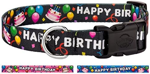 Country Brook Petz Deluxe Black Happy Birthday Dog Collar - Extra Large
