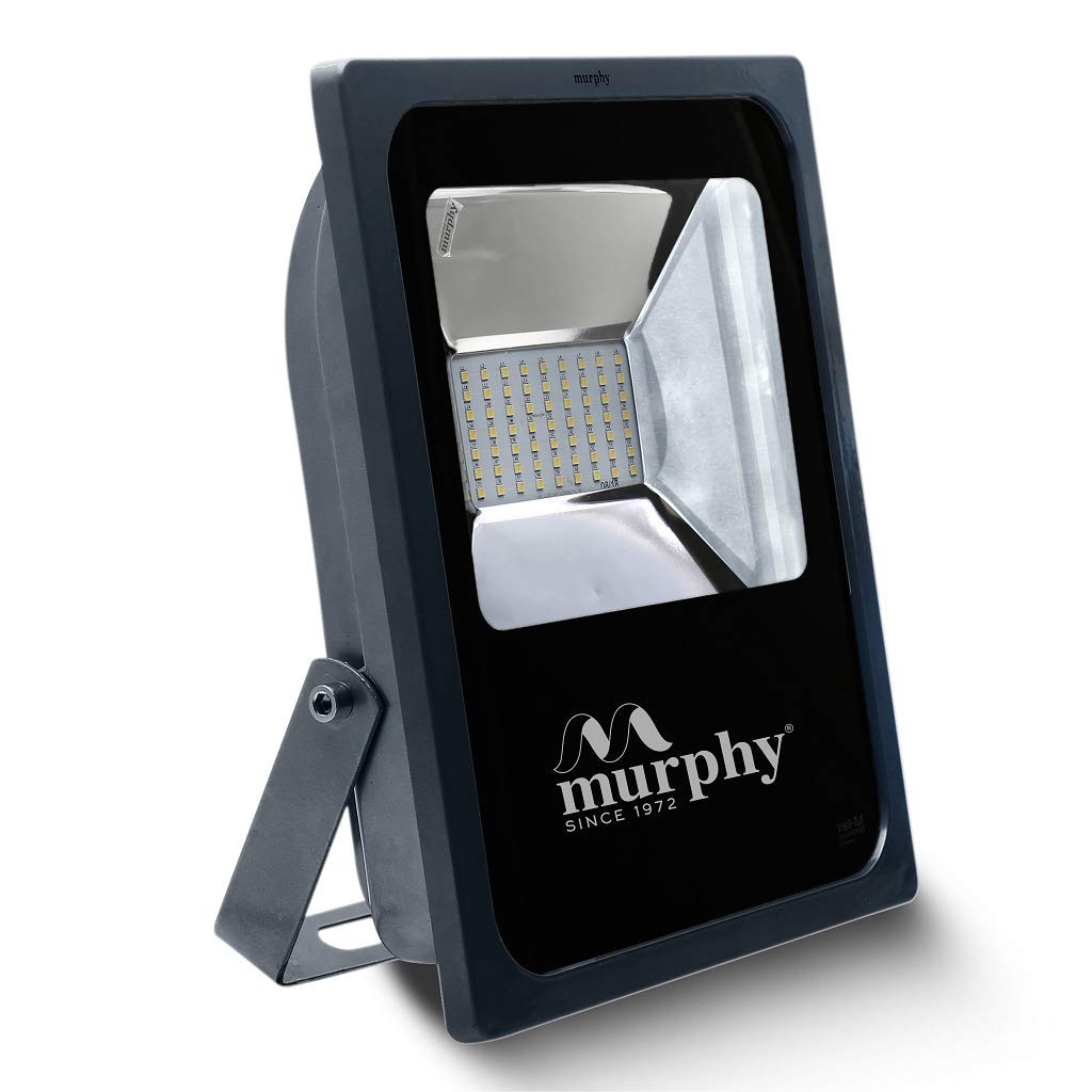 Buy Murphy LED 60W Flood Light, IP65 Outdoor Light Pack of 1 (Cool