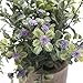 HC STAR Artificial Plant Potted Mini Fake Plant Decorative Lifelike Flower Green Plants