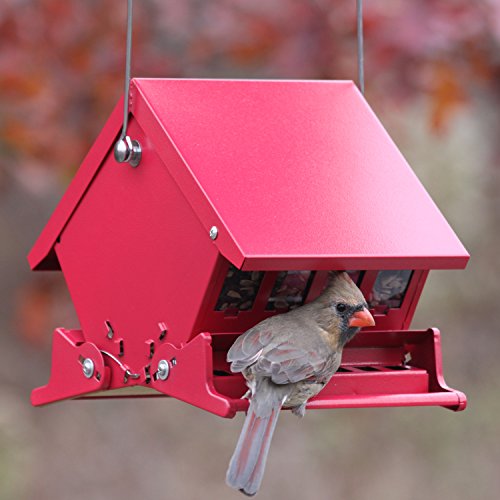 Audubon  "Mini"  Absolute  Squirrel Resistant  Bird Feeder  Model 7458