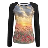 Weiding Poppy Field Sunset Sky Evening View Golden