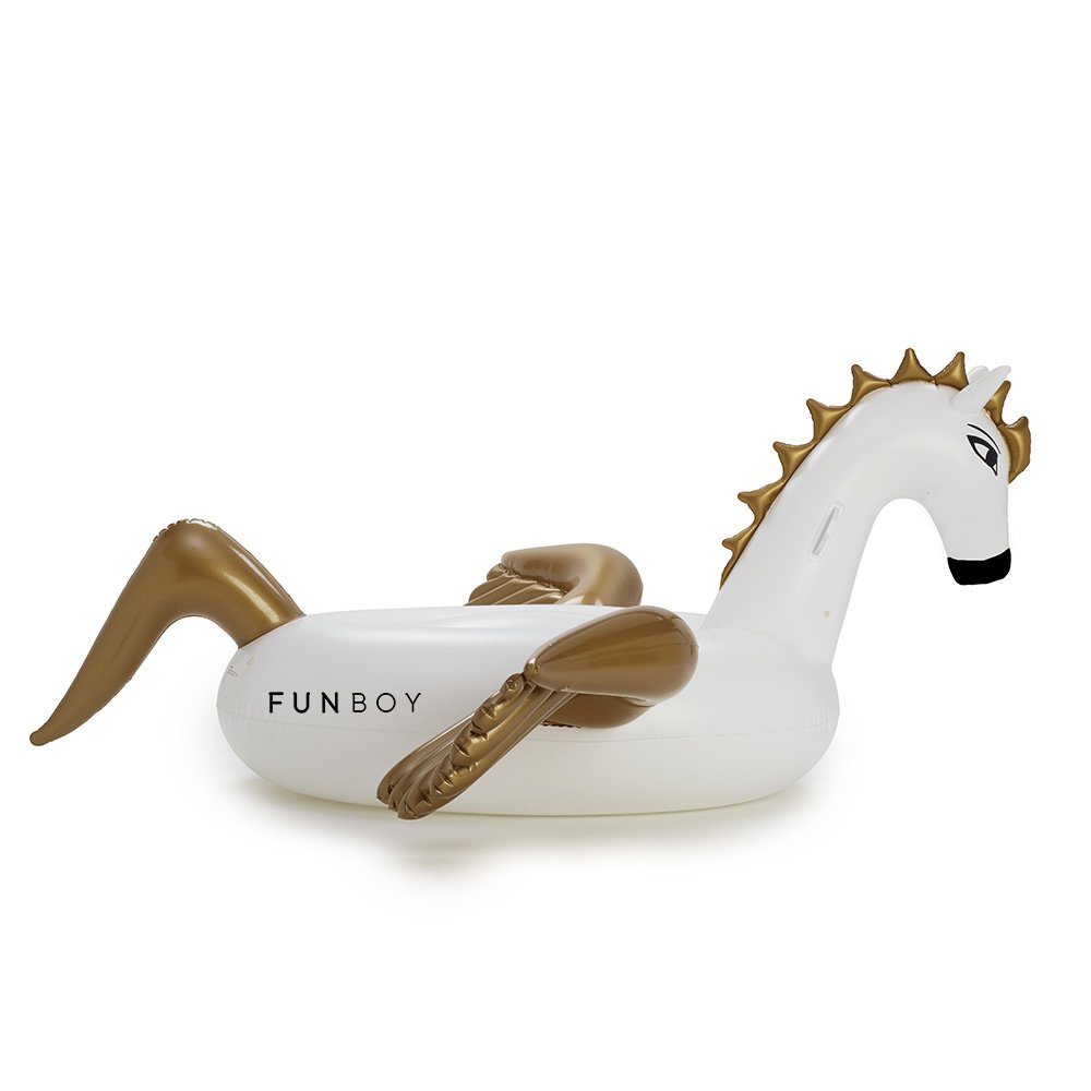 horse pool toy