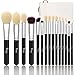Qivange Fan Makeup Brushes, Professional Makeup Brushes Set Eyeshadow Bronzer Foundation Brushes Set with Cosmetic Bag