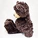 Gund Bears 'Babbs' Teddy Bear Plush