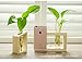 Ivolador Plant Propagation Station, Plant Propagation Tubes,Gifts for Plant Lovers,Plants Cutting Holder Office Desk Garden Décor Gifts for Mom Women Hydroponic Vase Gift Box