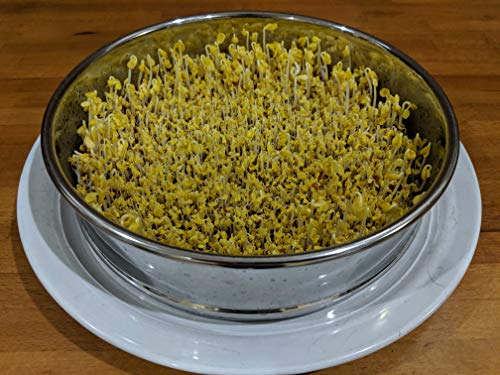 Stainless Steel Seed Sprouting Tray-8 Inch Stackable Sprouter Kit for Growing Fresh Organic Broccoli Sprouts, Wheat Grass, Alfalfa Seeds, Fenugreek, Mung Beans and More (Seeds not Included) - Thumbnail 3
