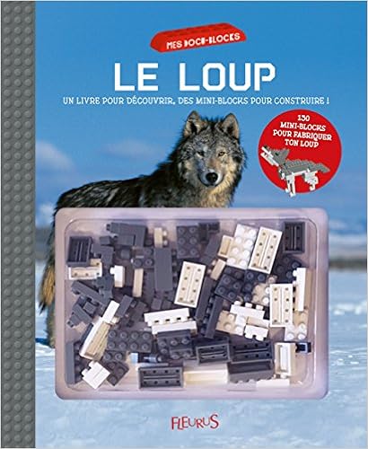 loup-miniblocks-huet