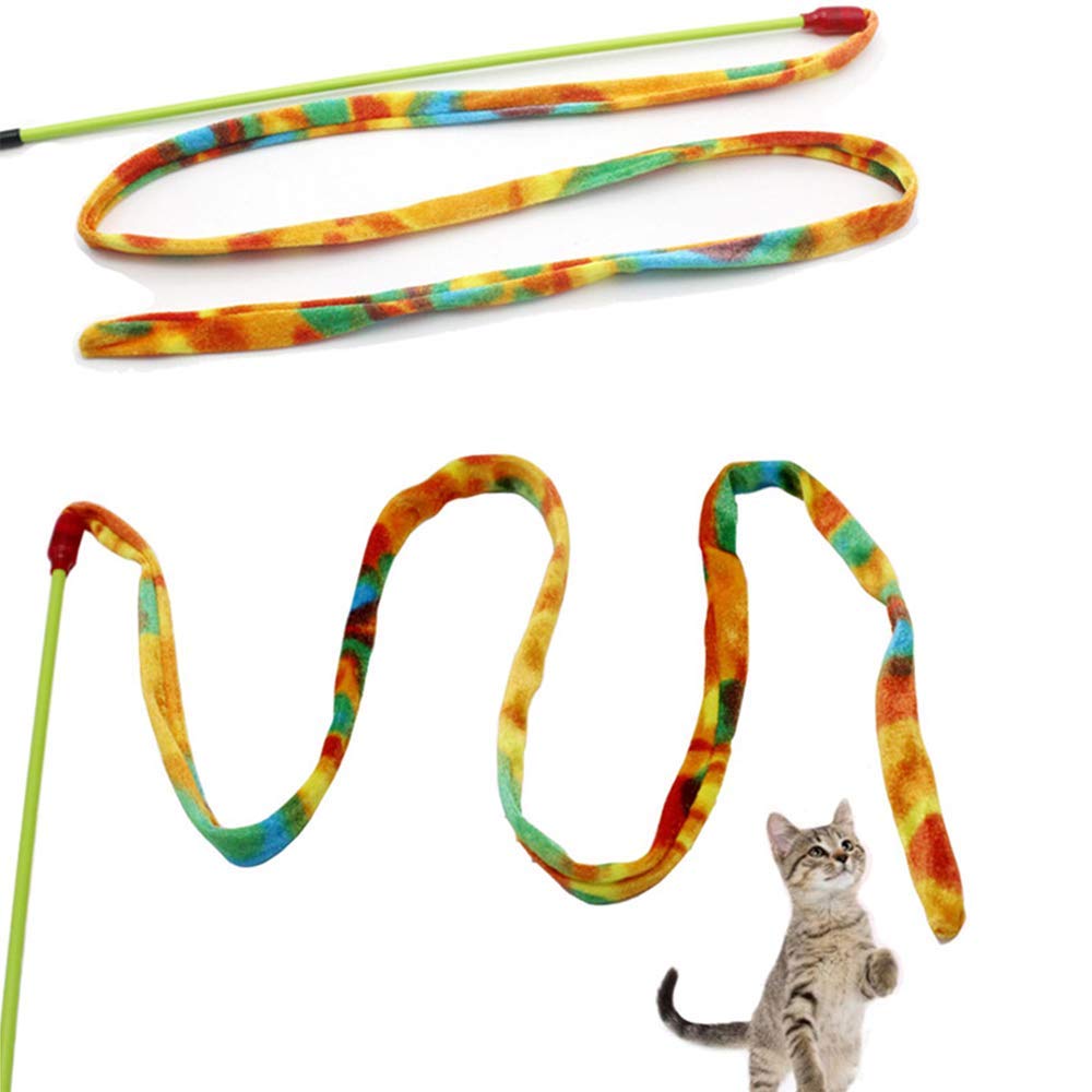 Rainbow Cat Charmer 2025