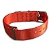 AlphaShark by BluShark - Luxury Seat Belt Nylon Watch Strap - 22mm Orange