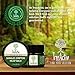TreeActiv Shingles Pain Relief Balm - Cream for Itch, Rashes, Blisters and Irritation Cause by Eczema, Rosacea, Psoriasis and Dry Skin, With Aloe, Tea Tree, Witch Hazel, Lemon Essential Oils - 1 fl oz