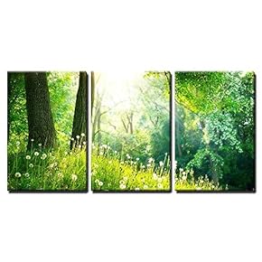 3 Piece Canvas Wall Art - Spring Nature Beautiful Landscape Green Grass and Trees - Modern Home Art Stretched and Framed Ready to Hang - 16"x24"x3 Panels