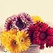 S.Ena, 1 Branch 1 Head Artificial Silk Fake Flowers Gerbera Daisy Wedding Floral Home Decor Bouquet Birthday Party DIY, Pack of 7 (Yellow)