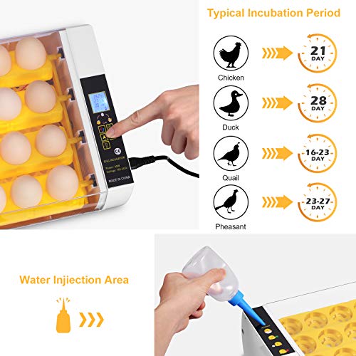 Egg Incubator, 24 Eggs Fully Automatic & Digital Incubator for Hatching