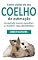 Livro Como cuidar de seu coelho de estimação