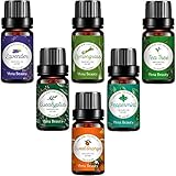Vena Beauty 100% Pure Aromatherapy Essential Oil Set of 6, Therapeutic Grade