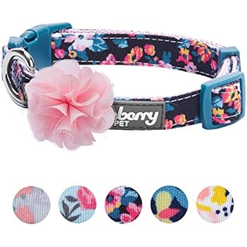 Amazon.com : PetFavorites trade; Nappa Leather Dog Collar Cute Cat