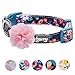 Blueberry Pet 5 Patterns Spring Made Well Elegant Floral Print Dog Collar in Sleek Black with Detachable Pink Flower Accessory, Small, Neck 12