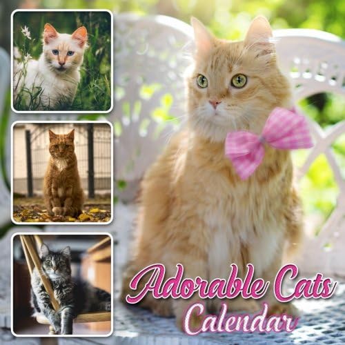 Adorable Cats Calendar: 16 Month Calendar with Cute and Beautiful Cats Paperback – 23 Nov 2017