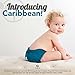Kanga Care Ecoposh OBV Reusable Pull Up Toddler Underwear Potty Training Pants | Caribbean Medium 2T?3T
