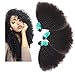HmtAfro Brazilian Weave Bundles 9A++ Grade 300 Gram Natural Color Afro Kinky Curly (18'' 20'' 22'')