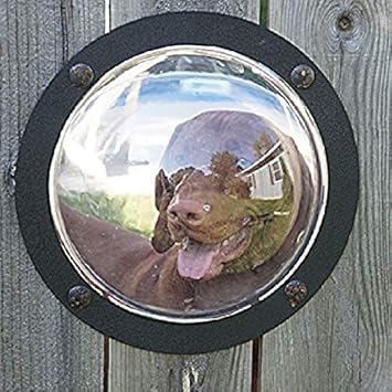 Pet Window - Acrylic Dog Window/Peep Hole for Door or Gate