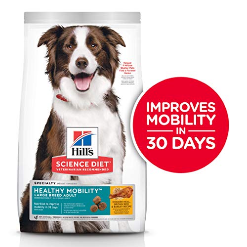 best diet dog food for large breeds
