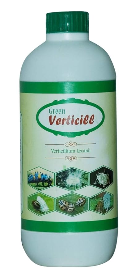 Green Verticill Plastic Liquid Verticillium lecanii Bio Pesticide Insecticide, 1 L (White)