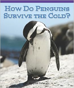 Penguin James Bonds Egg Laying Cameras Spy On Real Birds