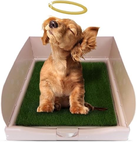 sew in glass eyes for teddy bears