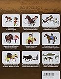 Image de Poneys et chevaux