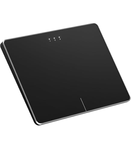 Amazon.com: Amazon Basics Multi-Touch Trackpad with Dual Device
