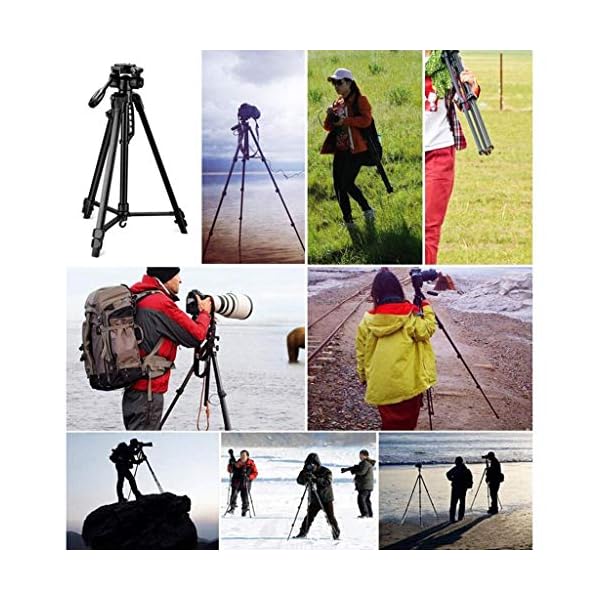 XYSQWZ Spiegelreflexkamera Stativ Fotograf Outdoor Adventure Kameraständer Stabilisator - Studentin Tragbares… – Bild 7