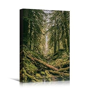 signwin Canvas Wall Art Green Forest Dramatic Forest...