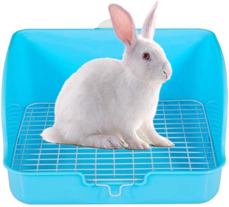 can you use cat litter in a guinea pig litter box