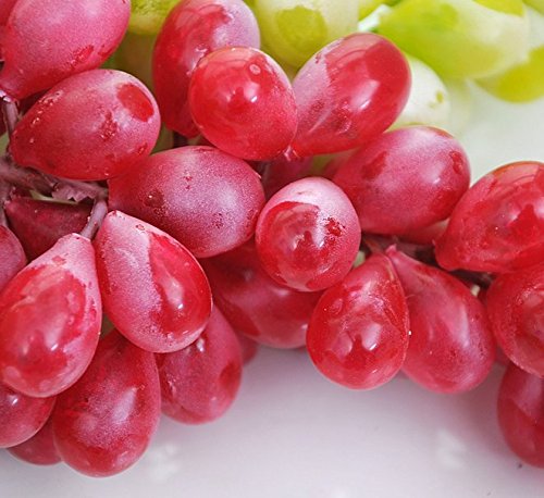 URTop 4 Bunchs of Artificial Black ,Red, Green and Purple Large 85pcs Grapes Plastic Fake Decorative Fruit Food Lifelike Home Wedding Party Garden Decor Mini Simulation Fruit Photography Props - Thumbnail 5