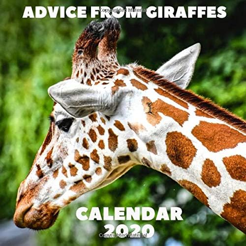 Advice From Giraffes Calendar 2020: November 2019 - December 2020 With Giraffe Inspirational Quotes Paperback – 4 Nov. 2019