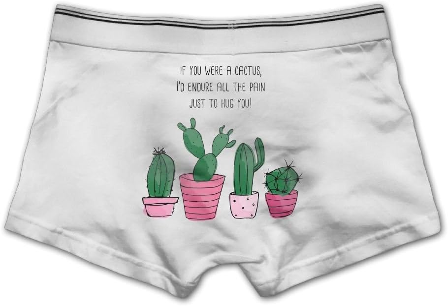 Ghhpws Factory Men's Cactus Hugs Underwear Cotton Boxer Briefs Stretch Low Rise Trunks White