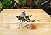 Handmade Stingray Art Art Glass Blown Sea Animal Figurine