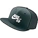 Nike SB Skateboard Snapback Hat, One Size Hasta Blue/Green/White