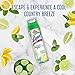Lysol Max Cover Disinfectant Mist, Brighter Horizon, 15oz